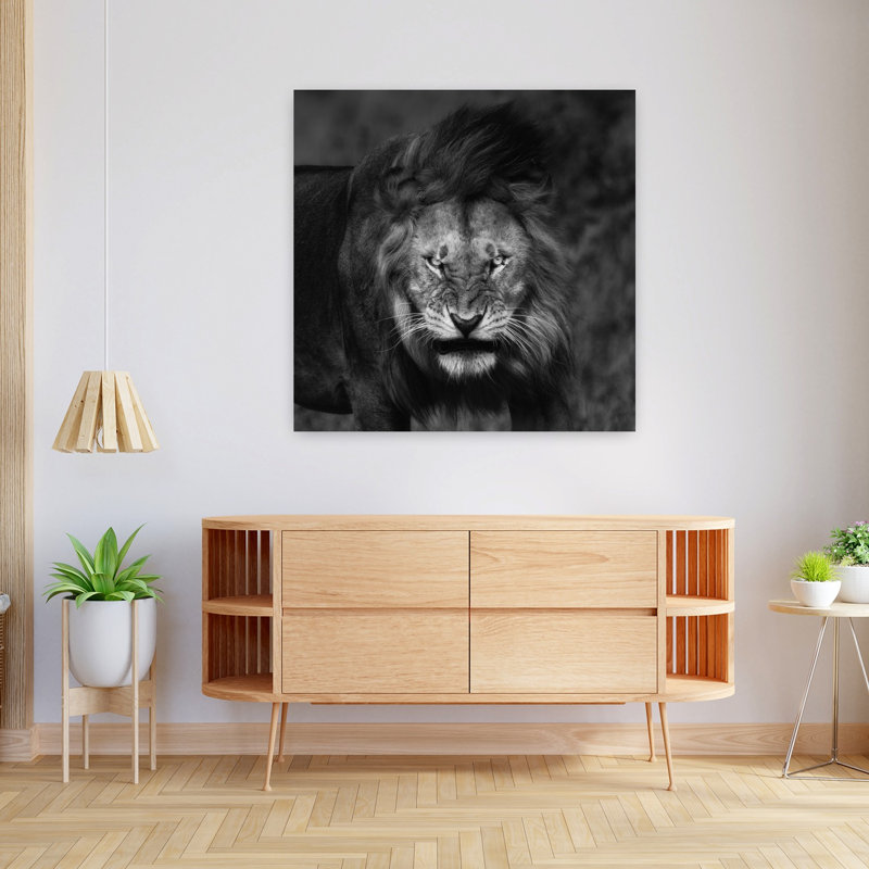 Fierce Lion Gaze Contemporary Wall Art Print 1 Piece Wrapped Canvas Wall Art, 91.44cm H x 91.44cm W