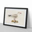 Black-Headed Gull by Von Wright - Picture Frame Art Print-55512505-55512506