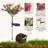 Solar Phalaenopsis Garden Decor Lights Outdoor Decoration Waterproof Integrated LED Light