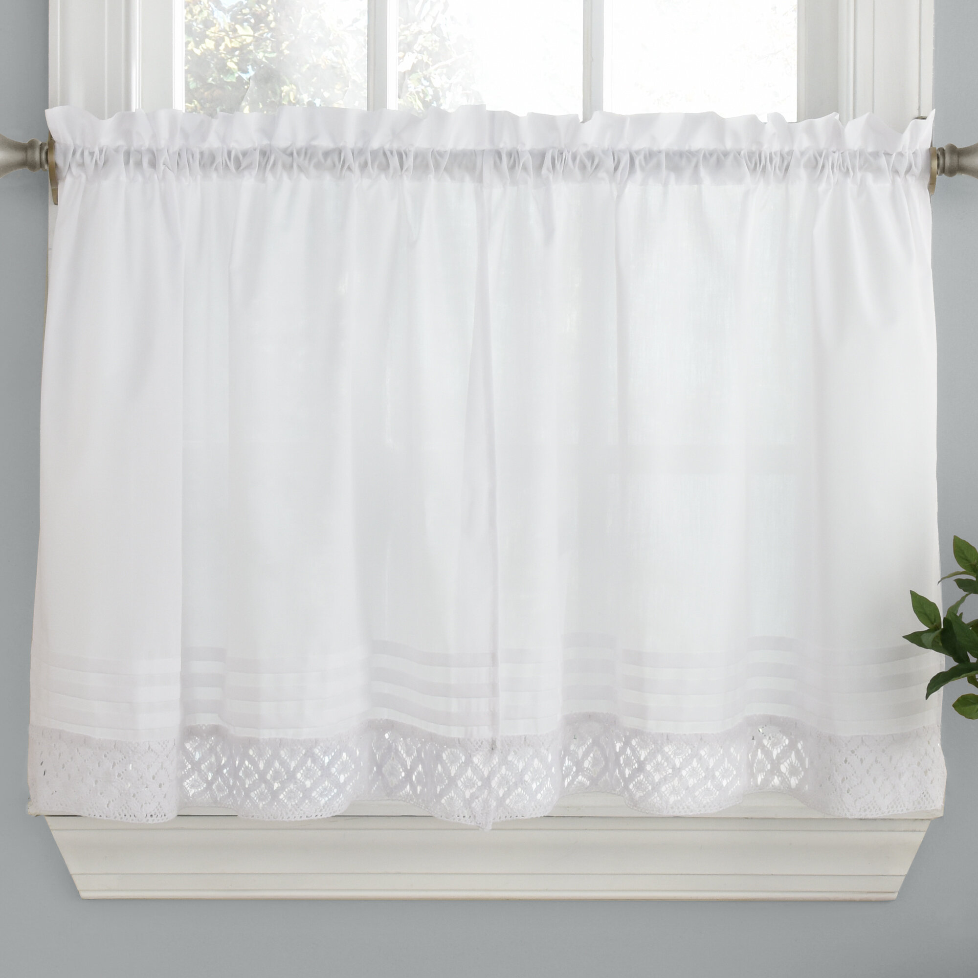 Charlton Home® Lindo Tailored 56'' W Window Valance in | Wayfair