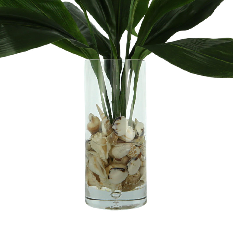 Rockwood Faux Aspidistra Plant in Glass Vase