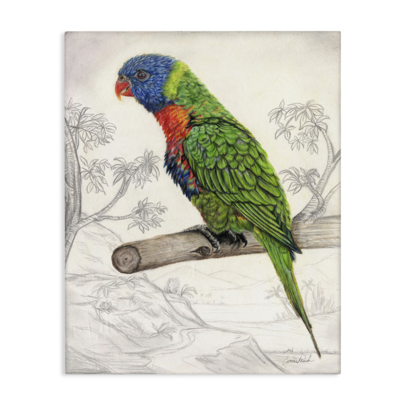 Art mural sur toile Lorikeet par Connie Resch, H 30 po x l 24 po