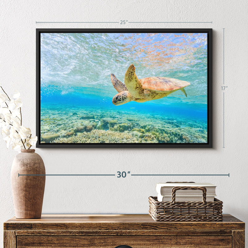 Turtle Dive Canvas Print, 17" H x 25" W
