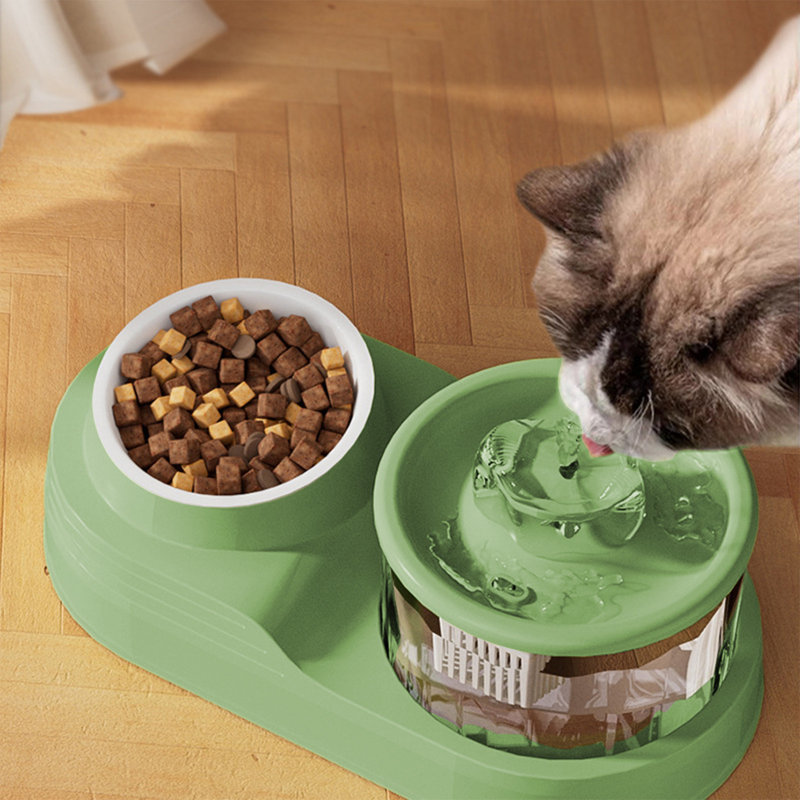 Distributeur d'eau à circulation automatique Cats Bowl, Vert