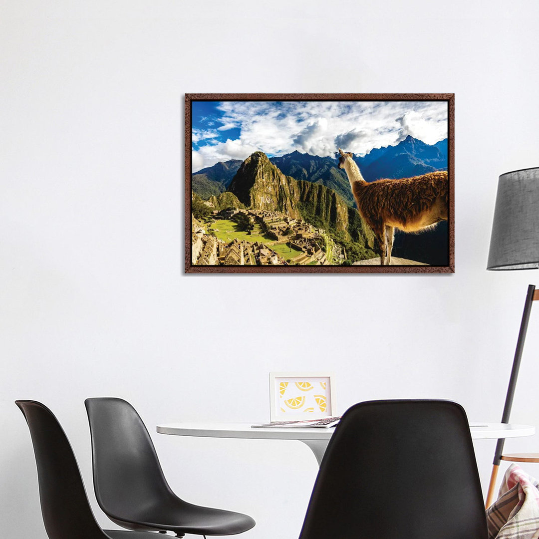 Peru Machu Picchu Lama Overlooking von Alex G Perez - Galerie-umwickelte Leinwand Giclée auf Leinwand