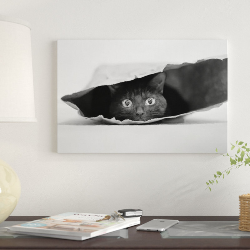 «Cat In A Bag» par Jeremy Holthuysen, impression sur toile tendue, H 16 po x l 24 po x P 1 po, Papier avec cadre noir, Blanc