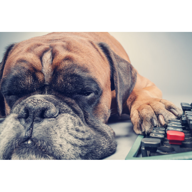 Boxer Dog Making Note by Walik - Wrapped Canvas Print