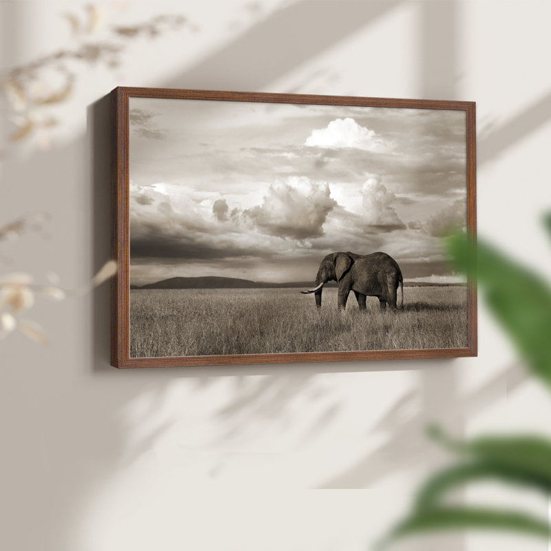 Maasai Majesty Sepia -Framed Print - Restickable, Noyer, H 16 po x l 20 po