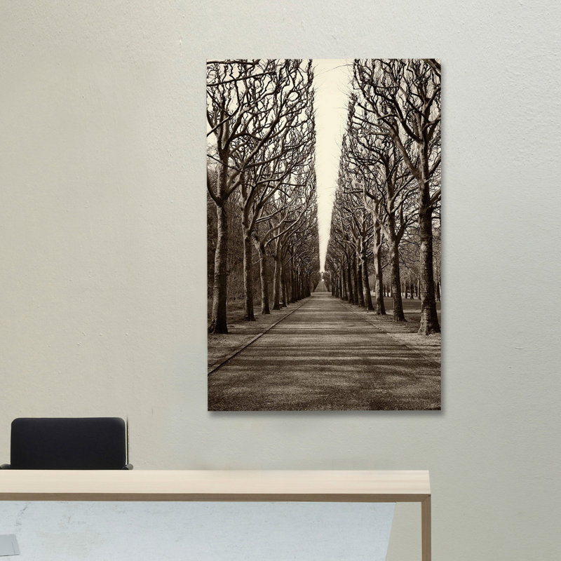 Tree Alley 1 Piece Wrapped Canvas Wall Art, 152cm H x 101cm W x 3.81cm D