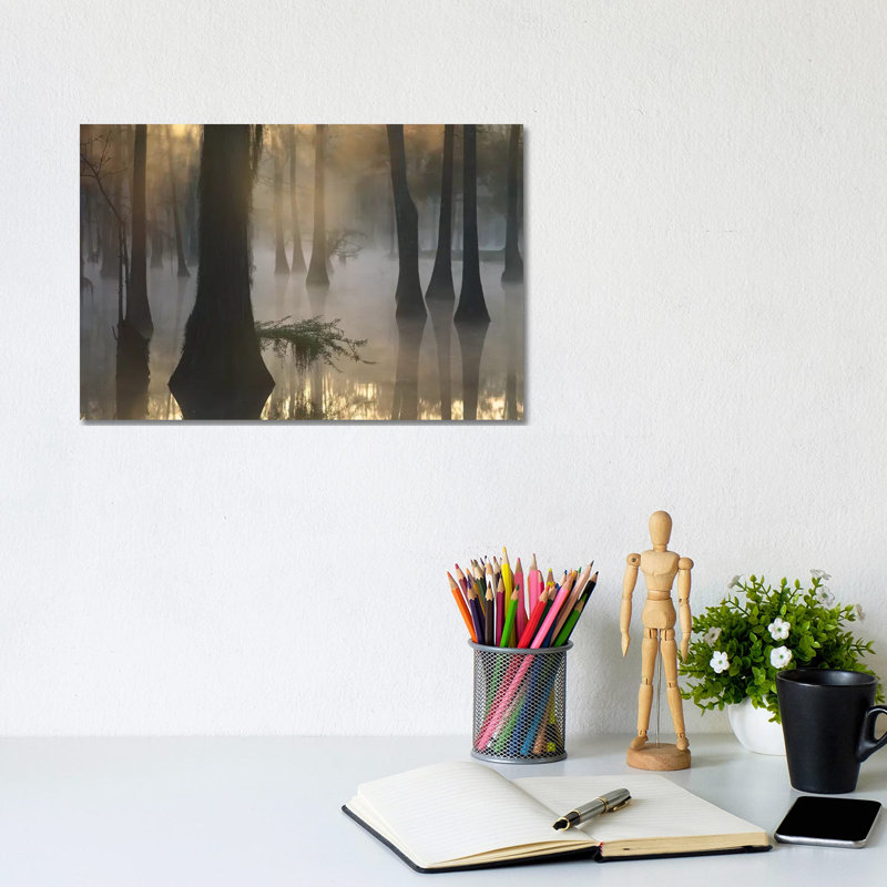 Bald Cypress Grove In Freshwater Swamp At Dawn, Lake Fausse Pointe, Louisiana II by Tim Fitzharris - Wrapped Canvas Print