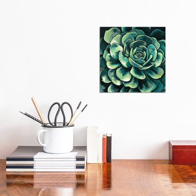 Succulent Bloom II by Megan Meagher - Wrapped Canvas Print