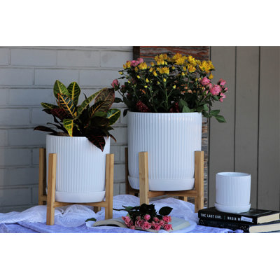 Pot cylindrique à pois avec soucoupe intégrée, pot moyen en céramique émaillée (lot de 6) - Intérieur/Extérieur