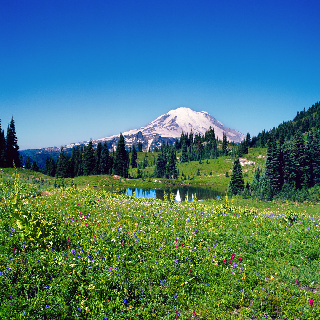 Mount Rainier Washington von Lfreytag - Kunstdrucke auf Leinwand