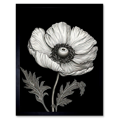 Aamirah White On Black Single Detailed Anemone Flower - Single Picture Frame Print