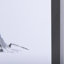 «Fly Away a Hand», reproduction d'art encadrée texturée matte sous verre