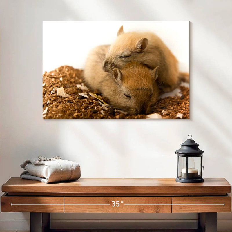Sleeping Gerbils, 16" H x 24" W