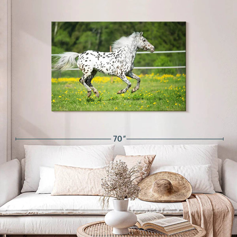 Crowle Appaloosa Horse, 30" H x 45" W