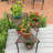 Ensemble de 3 tables emboîtables Alard