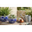 Pots de fleurs traditionnels en céramique pour la décoration intérieure - Jardinière décorative avec motif floral pour jardinières d'extérieur-115098550