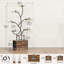 Iron 9 Tier Plant Stand