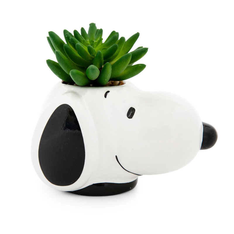 Plante grasse artificielle en pot