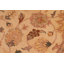 Tapis brun clair / brun oriental en laine noué à la main 7 pi 11 po x 9 pi 10 po Oriental