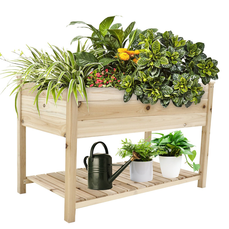 Lit à fleurs surélevé en bois 48,5 x 30 x 24,4 po avec pieds et tablette de rangement pour les herbes, la cour, le patio et le balcon