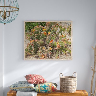 " Prickly Pear Cactus "