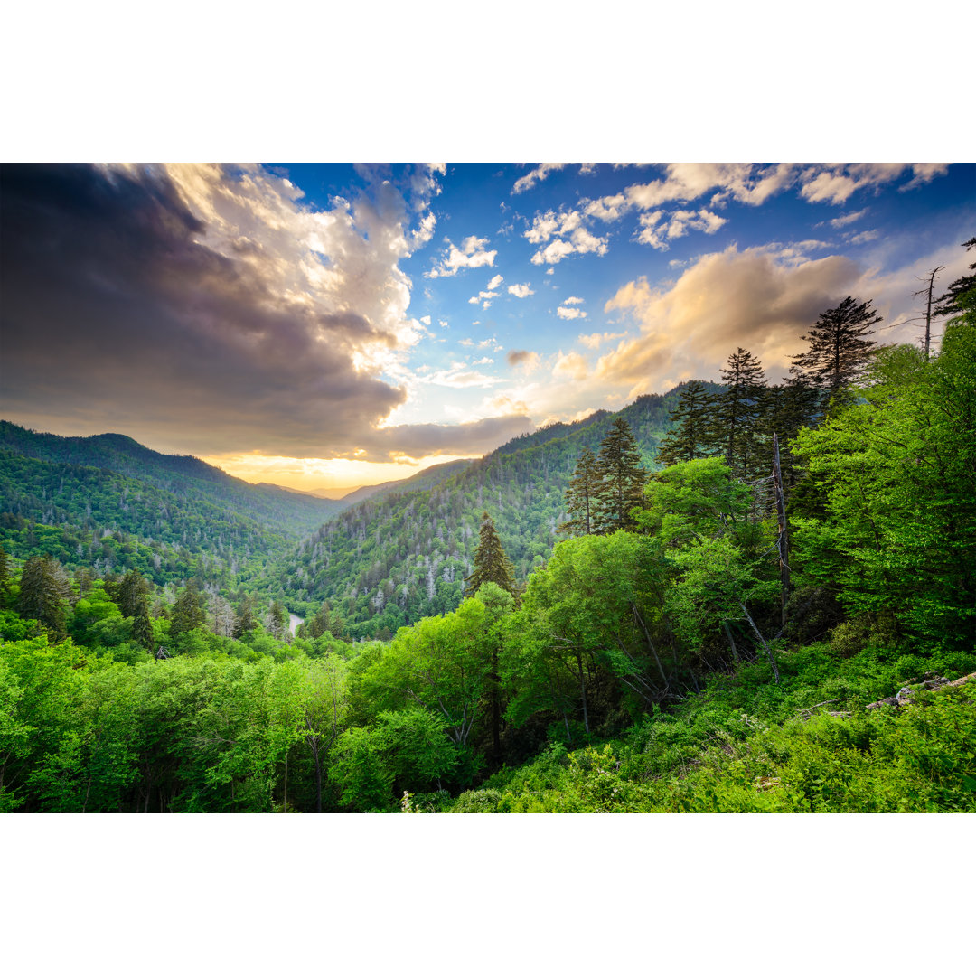 Leinwandbild Newfound Gap in den Smoky Mountains