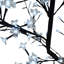 Cherry Lighted Display