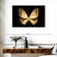Brampt le papillon doré I-107709334