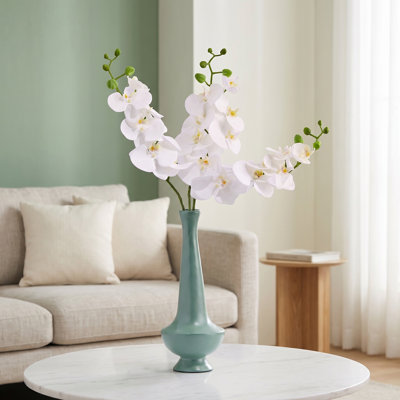 Phalaenopsis 27 po Natural Touch 
