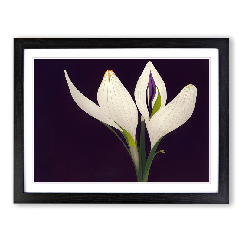 Evolving Flower - Framed Print, 34cm H x 46cm W x 2cm D, Black