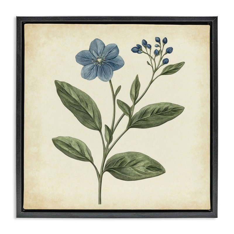 Cadre flottant rétro avec fleurs sauvages bleues, design par Petal Prints Design, Cadre flottant noir de jais