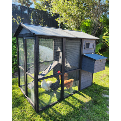 Pueblo Grande Chicken Coop