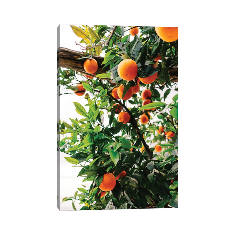 «Amalfi Coast Oranges II» par Bethany Young, reproduction de photo sur toile tendue, H 26 po x l 18 po x 1,5 po