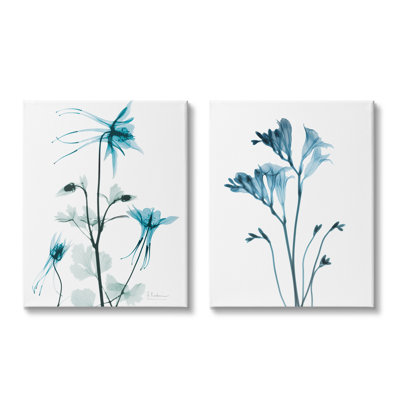" Beautiful Minimalist Blue Flower Plant Stem Photograph " by Albert Koetsier 2 - Pieces