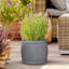 Fibreglass Plant Pot-1382639509-1382639507