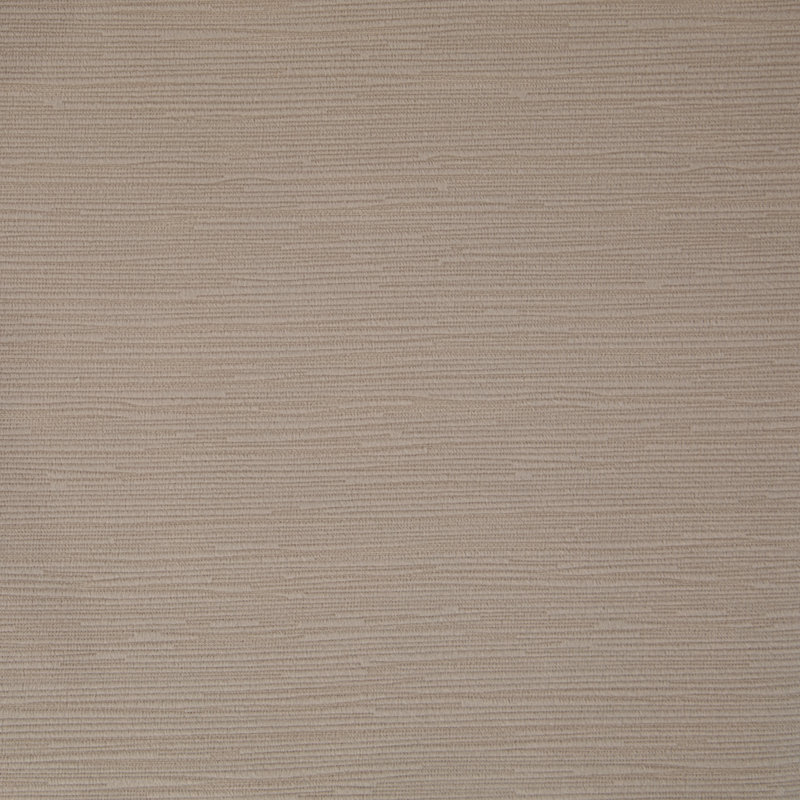 Housse et insert de traversin en velours Bridgett, Beige, 6 po x 20 po