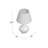 Akeim Glass Table Lamp-1998981723