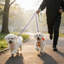 Double laisse pour chien avec poignée en mousse, mauve-131214128
