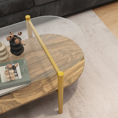 Table basse ovale en verre de forme moderne, format 41 po x l 21 po x H 17 po, pour le salon, structure à double couche avec fonction de rangement, verre transparent et panneau de fibres à densité moyenne brun café