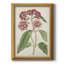 Toile encadrée de qualité supérieure Antique Botanical Collection-376522268