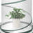 21" W x 21" D Mini Greenhouse