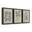 Antique Black and White Botanical VII - Ensemble de 3 reproductions d'art sur toile-282181156-282180056