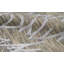 Jute / Sisal Abstract Area Rug in Silver-124928224