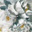 « white pivoine ii », reproduction sur toile tendue-1641676515