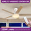  Ventilateur de plafond 5 pales 52 "avec lumière et télécommande-833390059-833390068