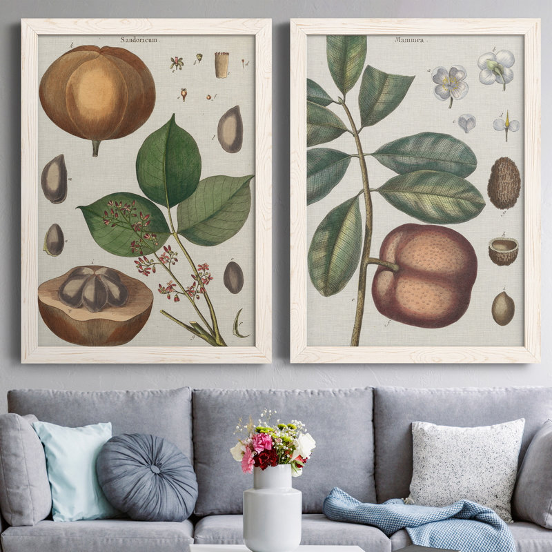 Exotic Botanique II, reproduction encadrée de qualité supérieure - prête à être accrochée, H 31,5 po x l 47 po x P 1,5 po