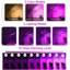 Maker Network Grow Light